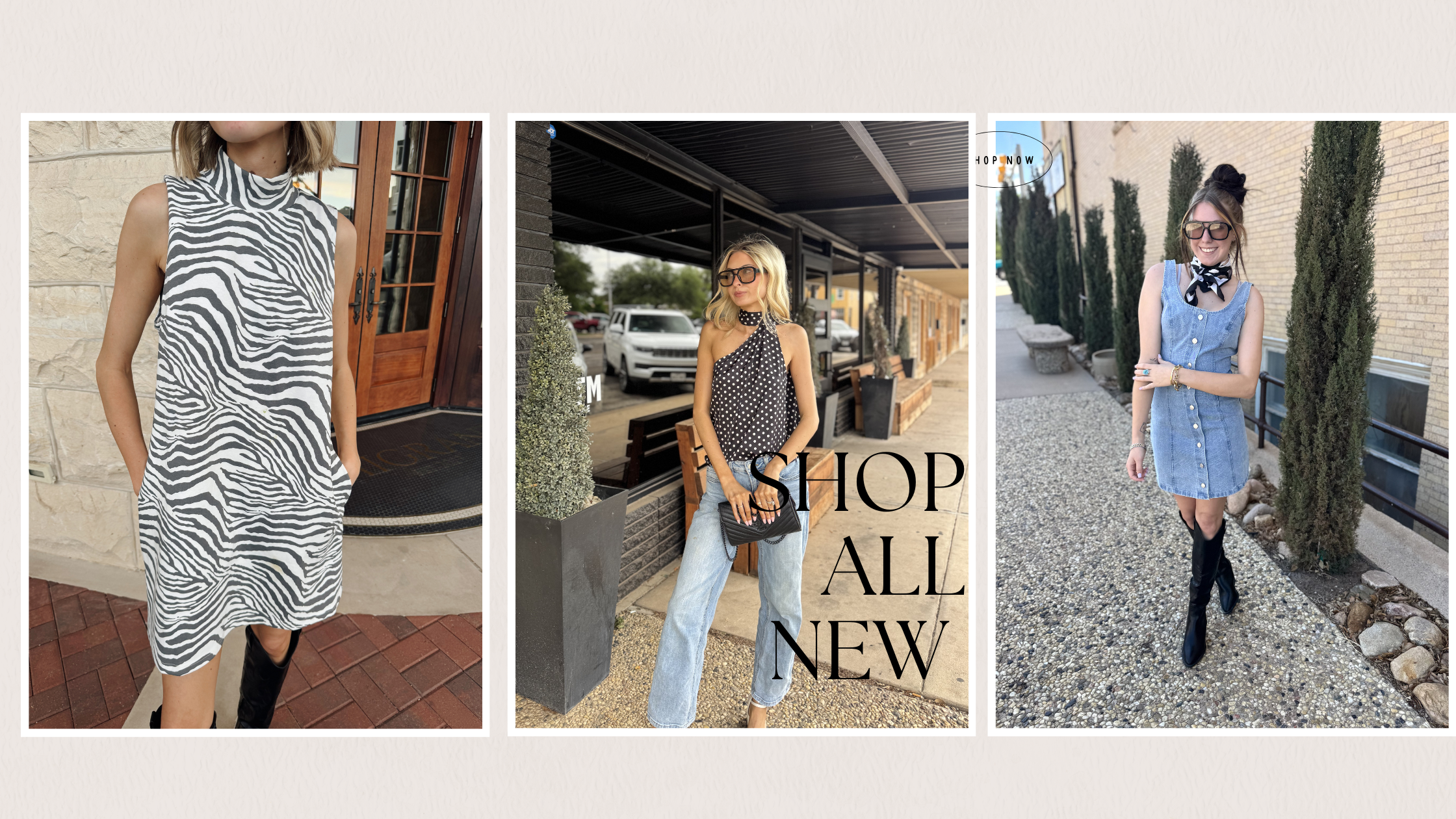 A three-panel collage showing a woman modeling a sleeveless zebra-print dress in different outdoor and storefront settings, with large overlaid text reading 'SHOP ALL NEW'. Because people and real environments are present, this is Lifestyle rather than Product/Packaging.
